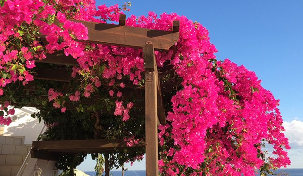 Kreta_1200x500.jpg