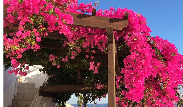 Kreta_1200x500_2.jpg