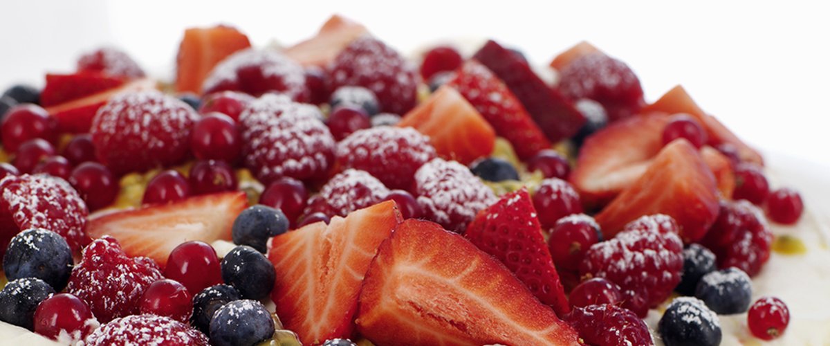 Pavlova_1200x500.jpg