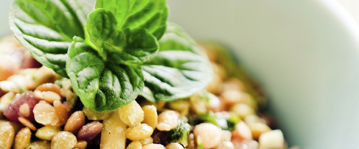 Belgfrukter_1200x500.jpg