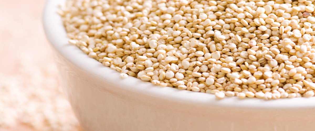 Quinoa_1200x500.jpg