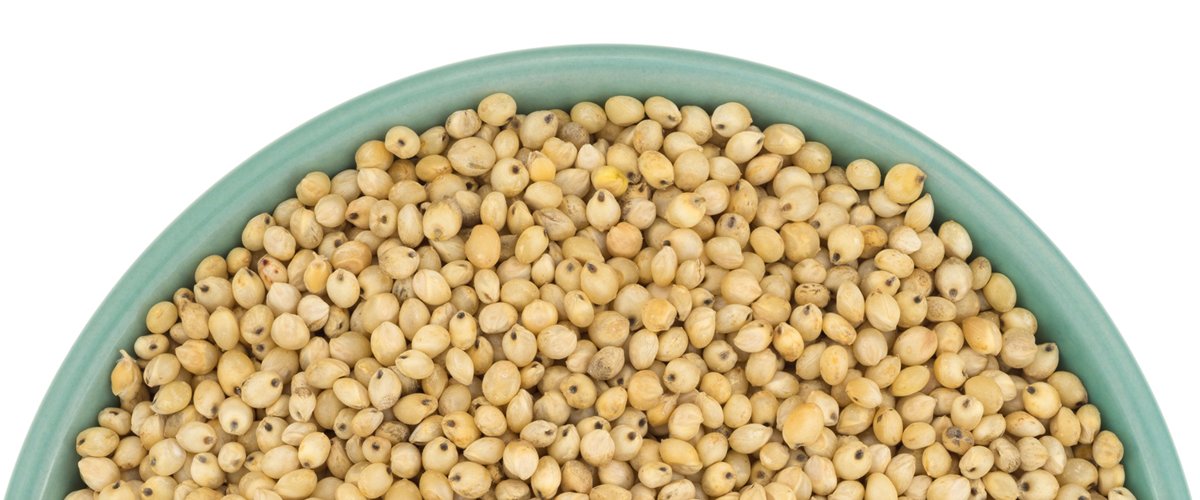 Sorghum_1200x500.jpg