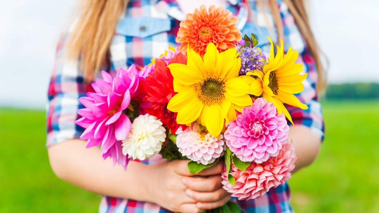 fargerikeblomster-istock_1280x720.jpg